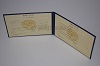 Стоимость диплома техникума УзбекАССР 1975-1991 г. в Новом Осколе (Белгородская Область)