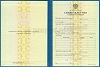 Увеличить Стоимость Свидетельства о Повышении Квалификации 1997-2018 г. в Строителе (Белгородская Область)